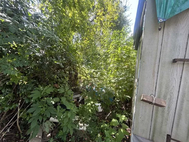 an outdoor view of water house with a outdoor space