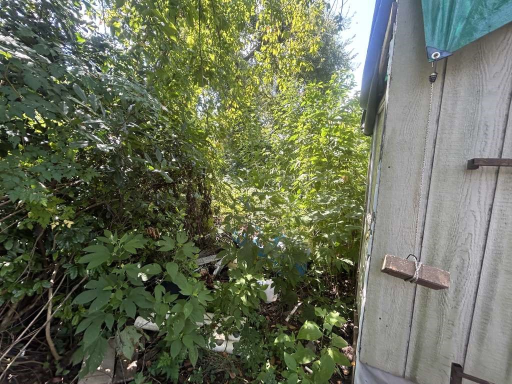 305 West End Street Terrell, TX 75160 - Photo 3 of 6