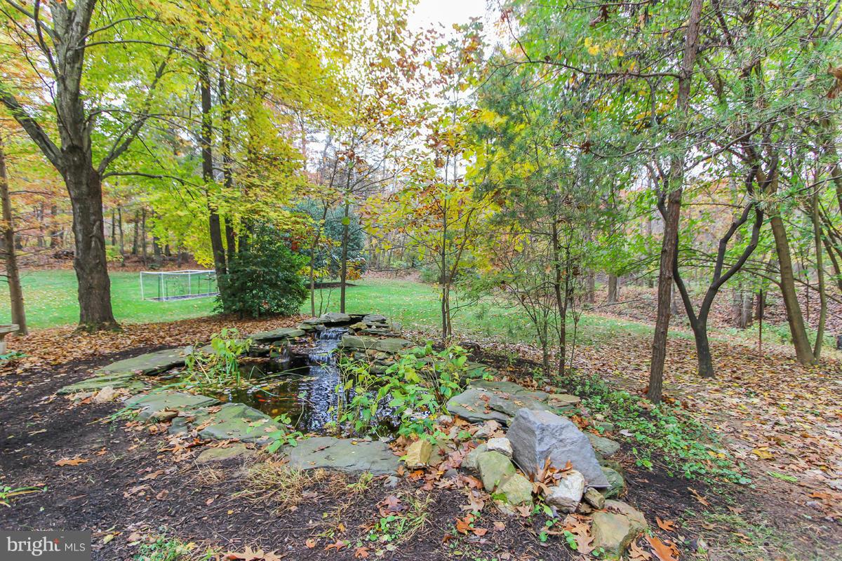 1861 Post Oak Trail Reston, VA 20191 - Photo 28 of 30 a view of backyard with tree