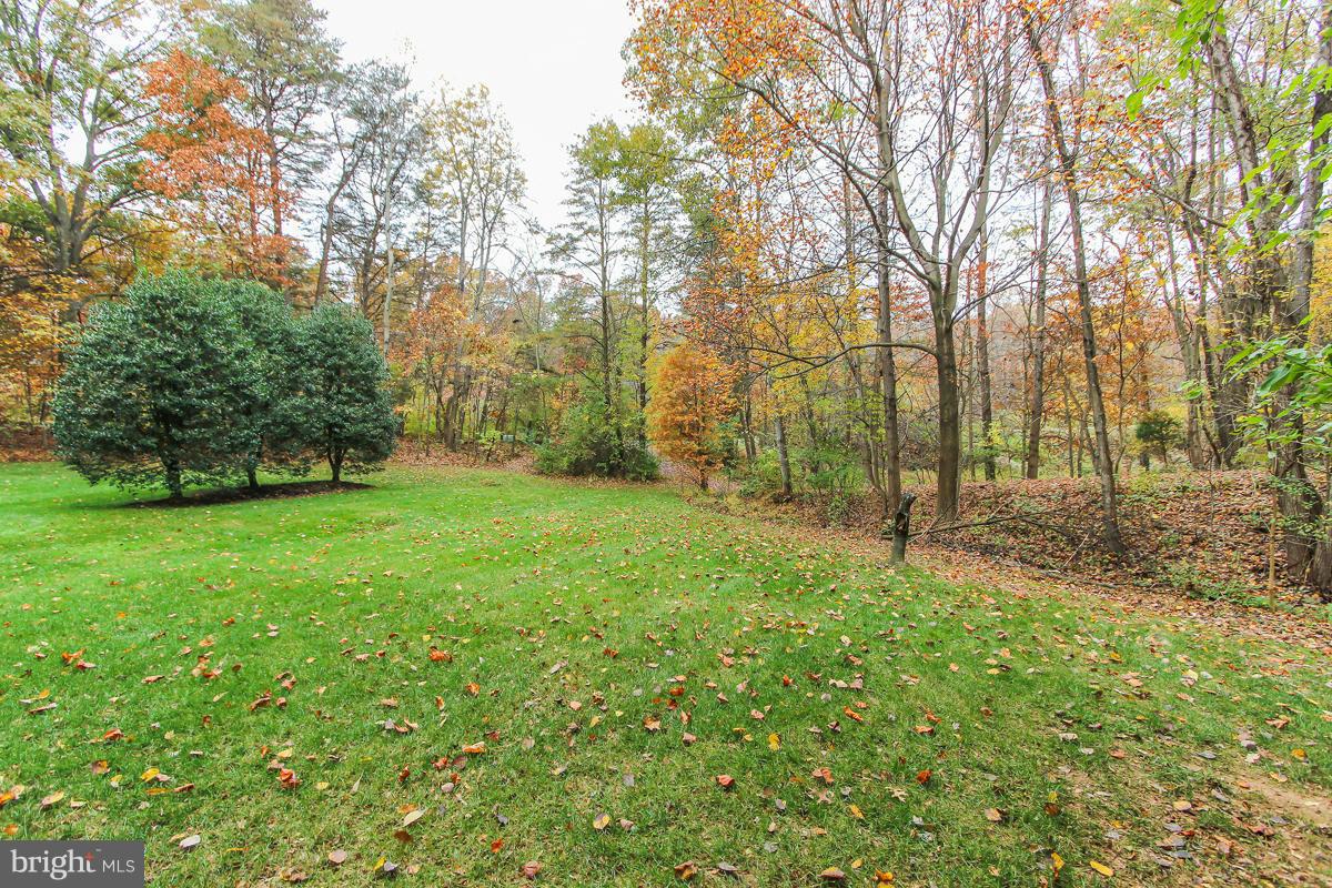 1861 Post Oak Trail Reston, VA 20191 - Photo 29 of 30 a view of green field with trees in the background