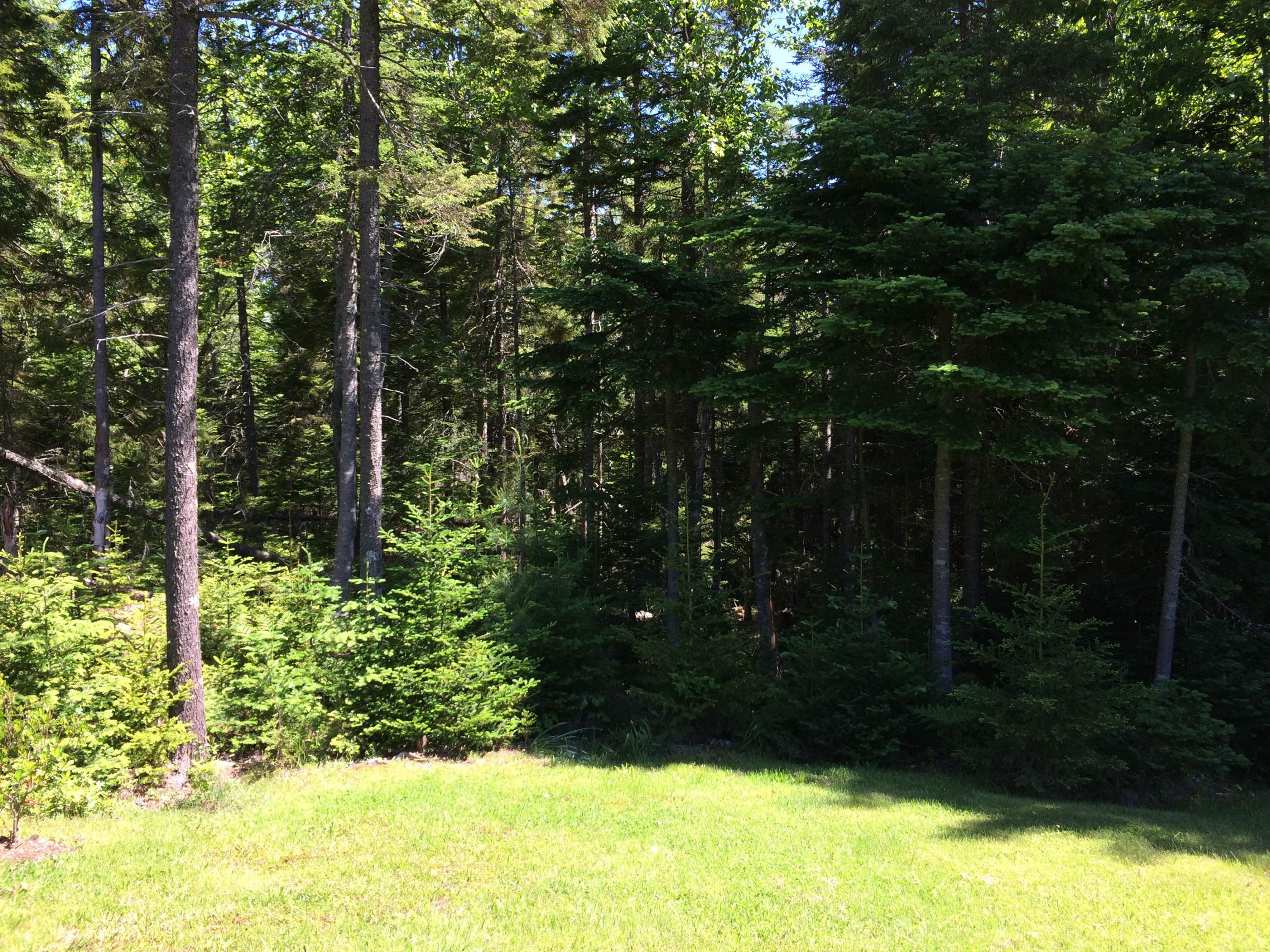 130 Bass Harbor Woods Road Bass Harbor, ME 04653 - Photo 34 of 41 Yard