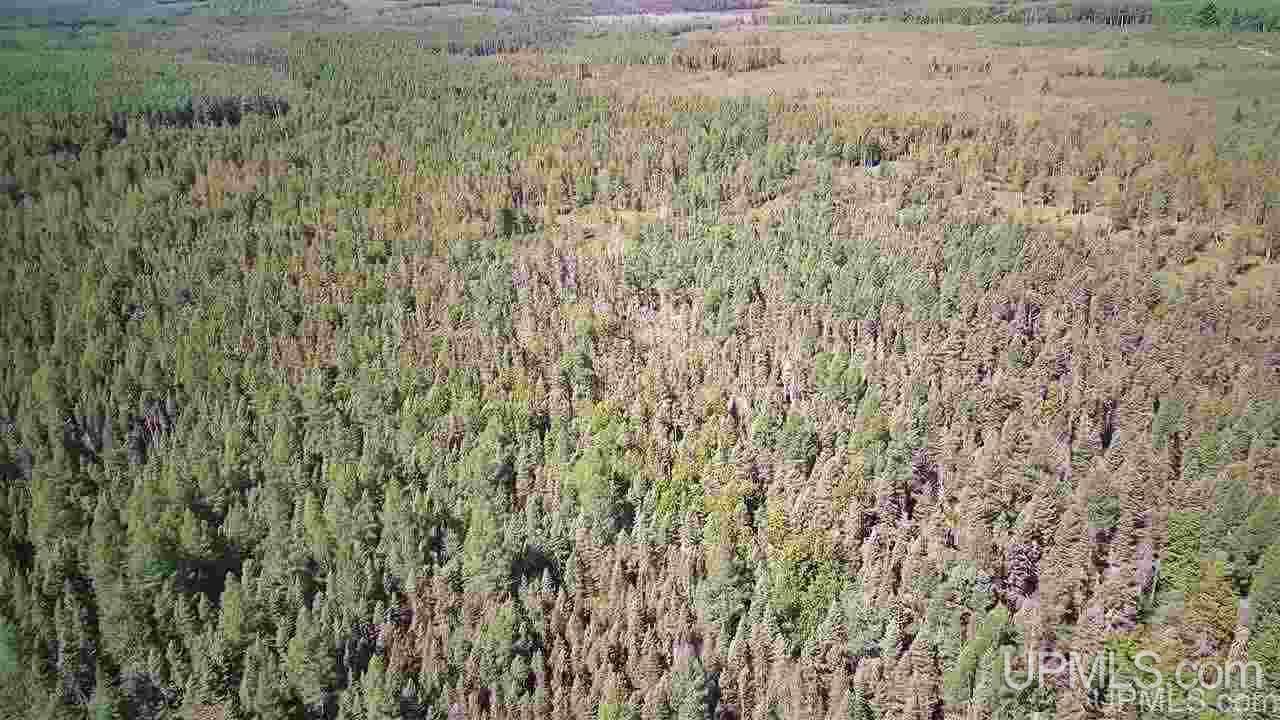 Tbd Off Of Co Rd 557, Unit 1 Arnold, MI 49819 - Photo 7 of 16