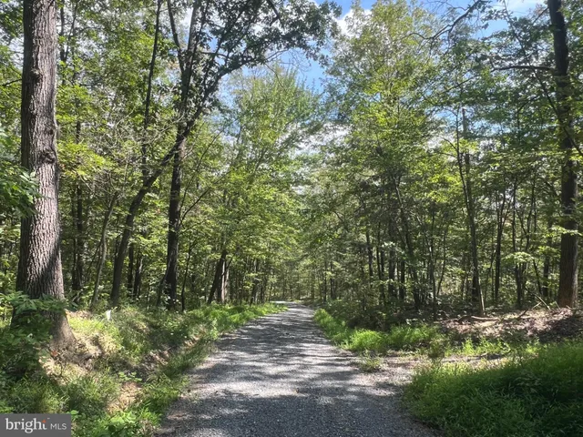 $19,900 | Lot 17 Lake Drive, Mount Jackson, VA 22842