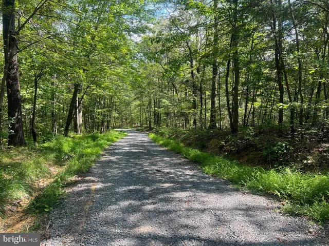 $19,900 | Lot 17 Lake Drive, Mount Jackson, VA 22842