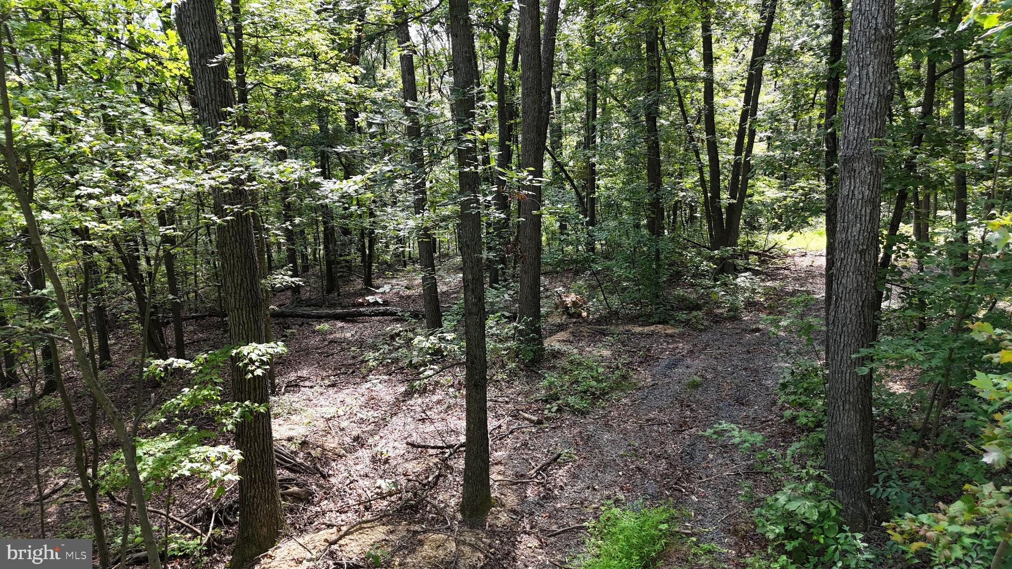 Lot 17 Lake Drive Mount Jackson, VA 22842 - Photo 4 of 10