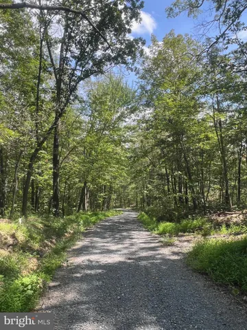 $19,900 | Lot 17 Lake Drive, Mount Jackson, VA 22842