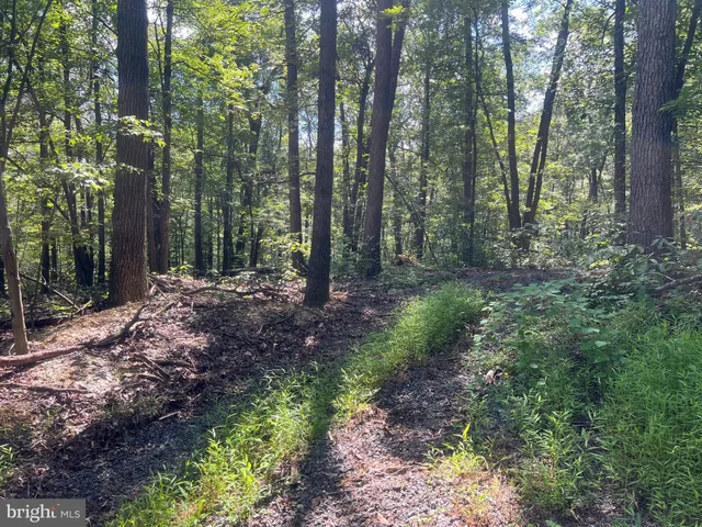 $19,900 | Lot 17 Lake Drive, Mount Jackson, VA 22842