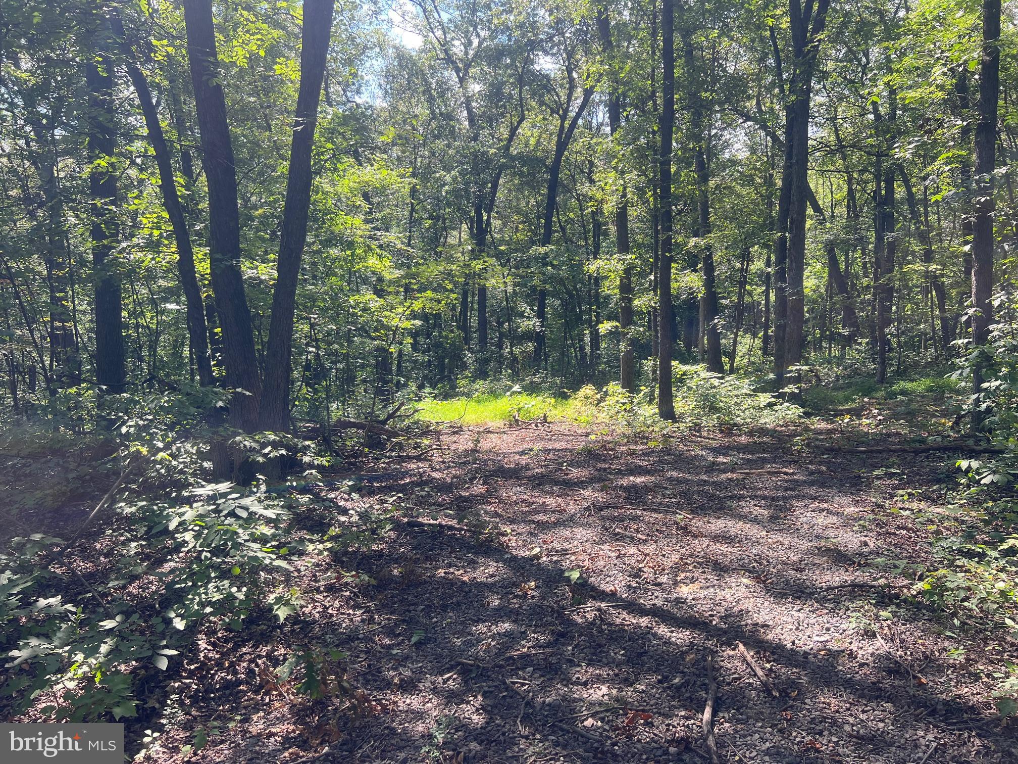 Lot 17 Lake Drive Mount Jackson, VA 22842 - Photo 7 of 10