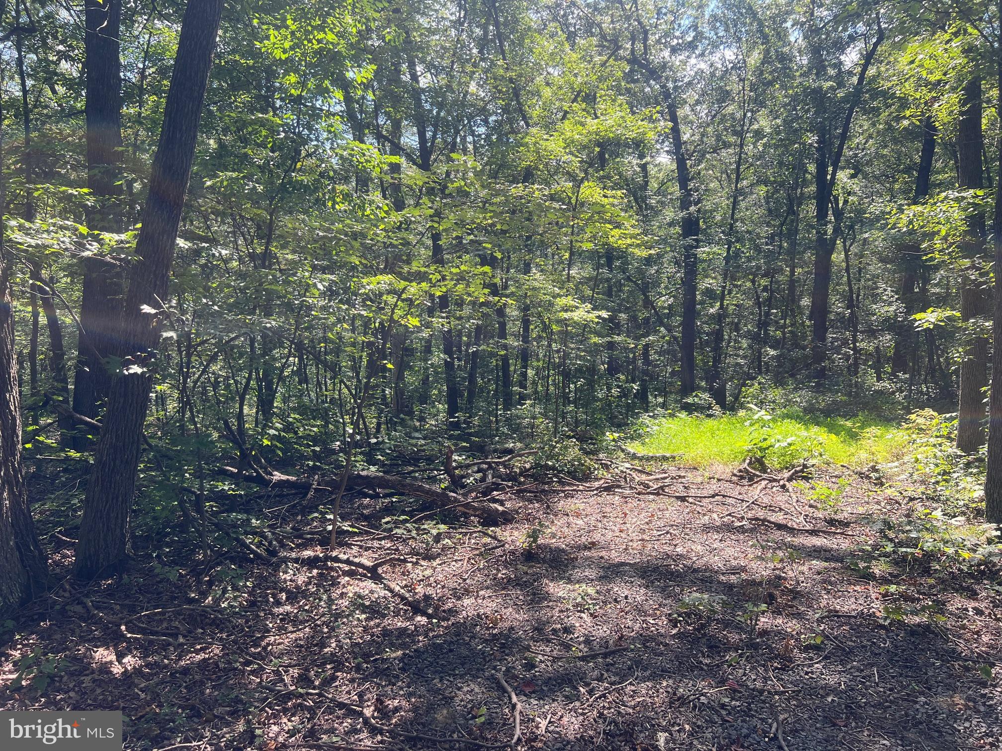 Lot 17 Lake Drive Mount Jackson, VA 22842 - Photo 8 of 10