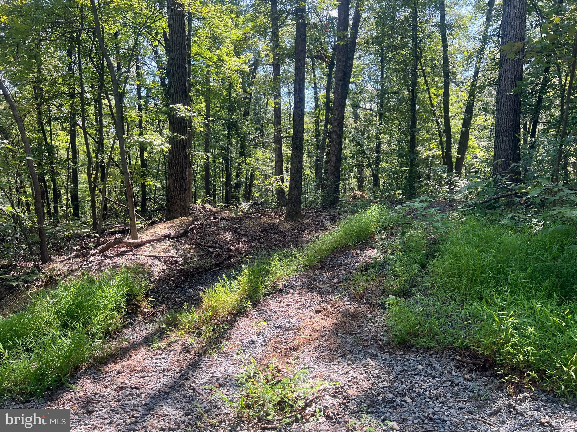 Lot 17 Lake Drive Mount Jackson, VA 22842 - Photo 9 of 10