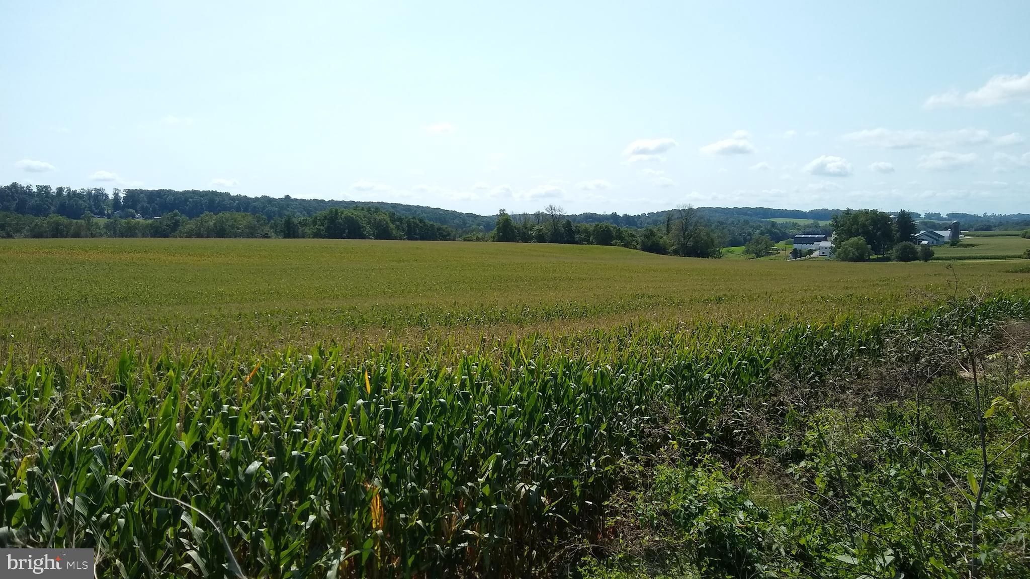 919 Valley Road Quarryville, PA 17566 - Photo 19 of 101 Gallery Image 19