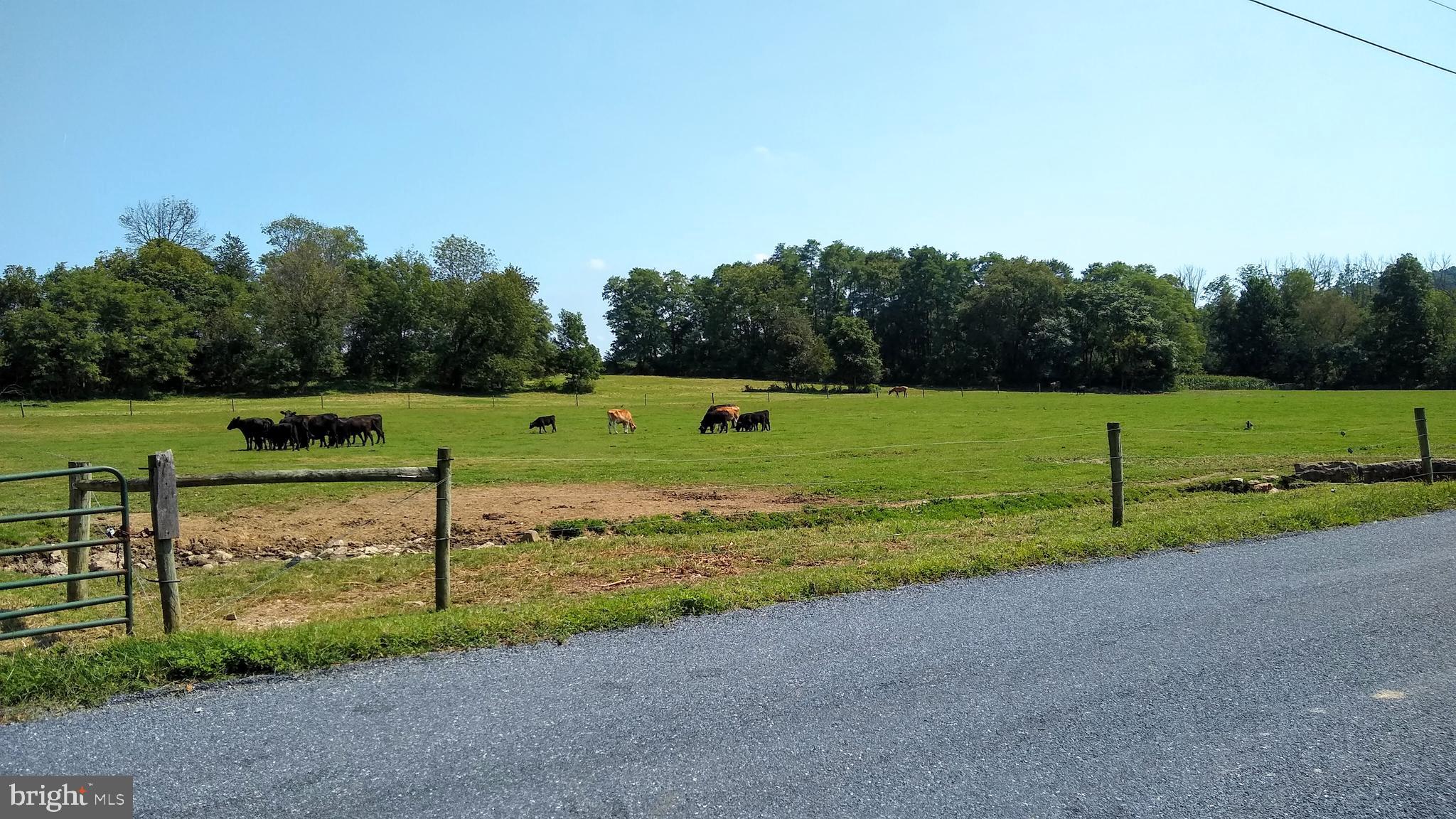 919 Valley Road Quarryville, PA 17566 - Photo 28 of 101 Gallery Image 28