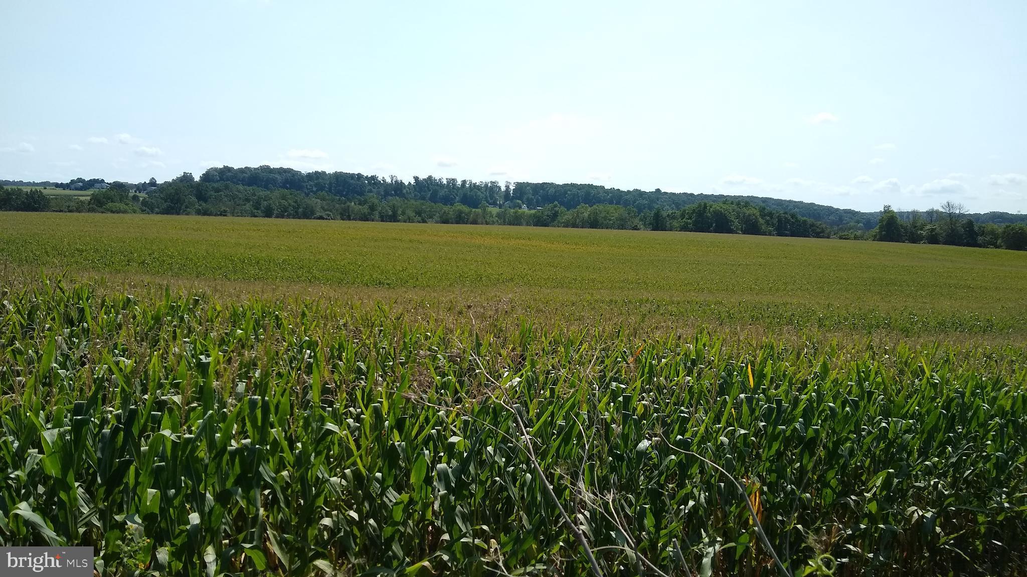 919 Valley Road Quarryville, PA 17566 - Photo 29 of 101 Gallery Image 29