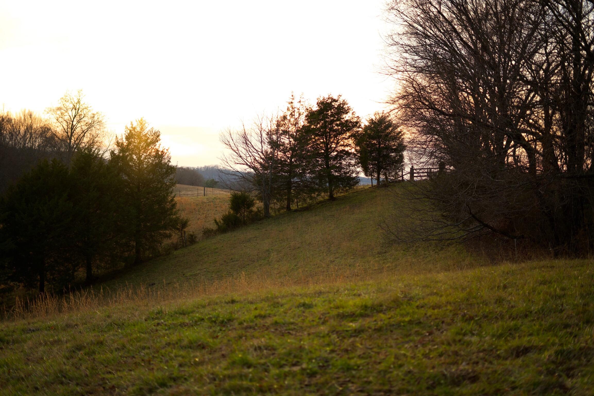 778 Bailey Bridge Road Limestone, TN 37681 - Photo 11 of 22 0B509818-C074-4C04-BF7A-D8E99C28DCD6
