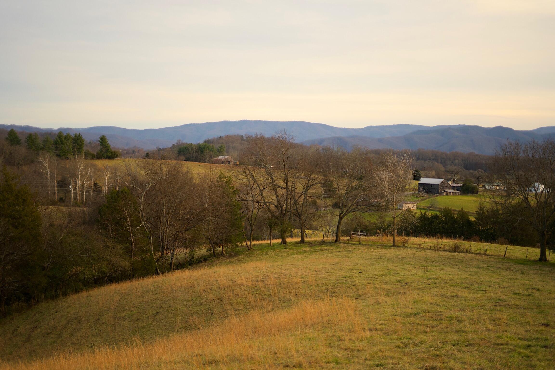 778 Bailey Bridge Road Limestone, TN 37681 - Photo 12 of 22 BD761C13-23F1-4D93-905B-BF52C2BAF778