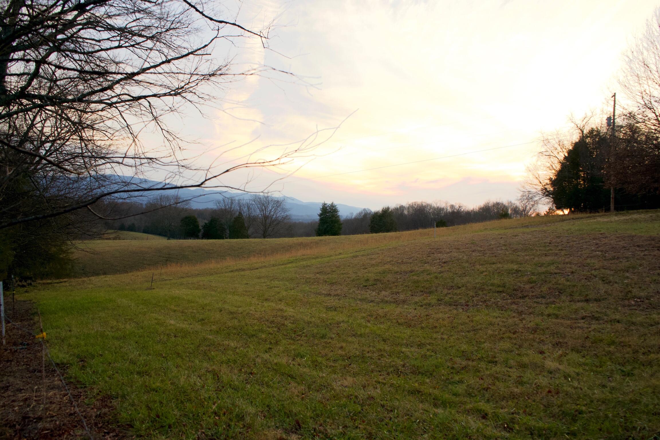 778 Bailey Bridge Road Limestone, TN 37681 - Photo 17 of 22 C60D82E3-12AD-4FD6-9B1C-18676D640084