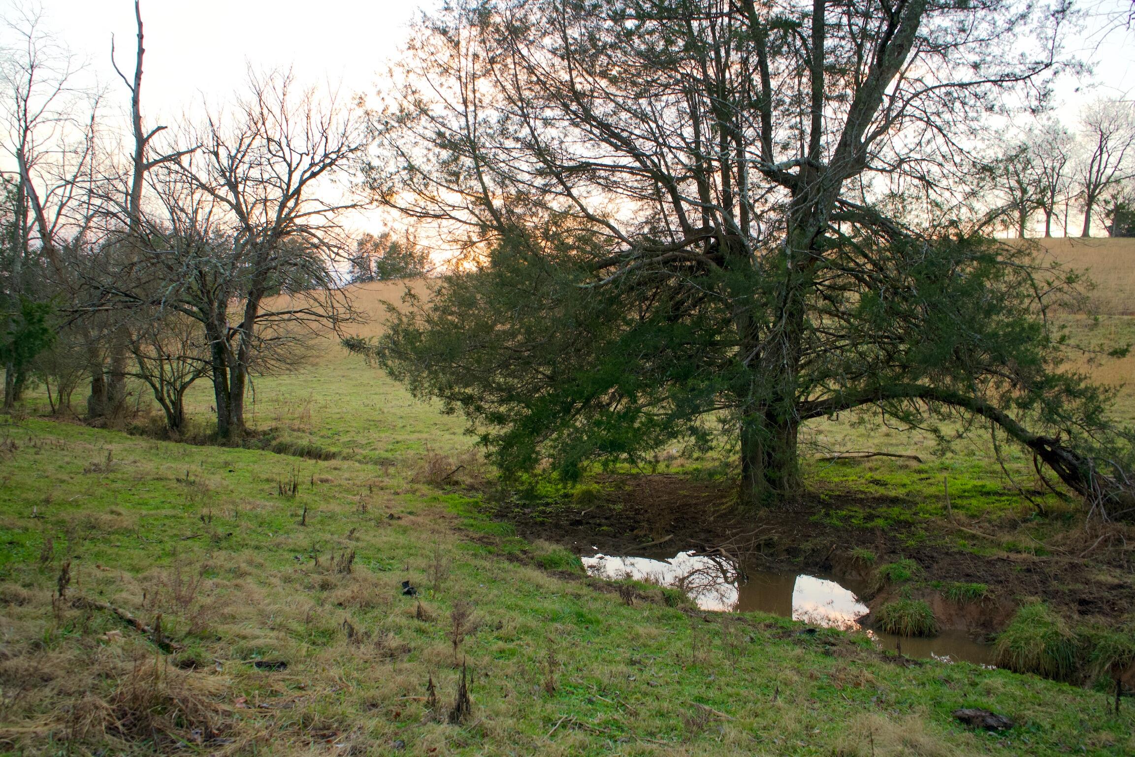 778 Bailey Bridge Road Limestone, TN 37681 - Photo 19 of 22 D49F781E-A360-4164-B0E1-C499BFF6968C