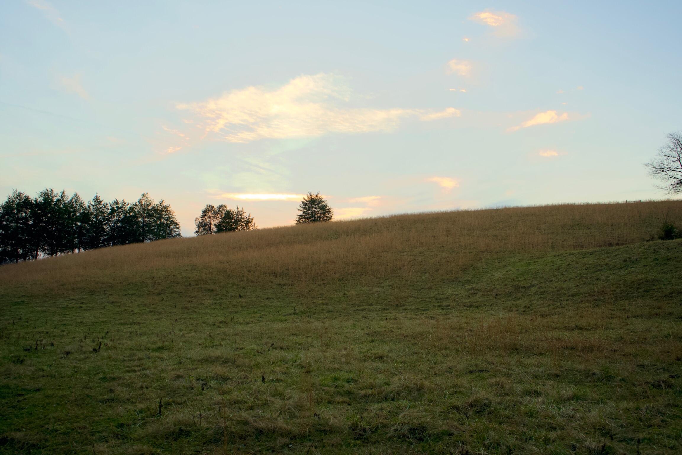 778 Bailey Bridge Road Limestone, TN 37681 - Photo 20 of 22 9EEB5F10-8543-4A11-96CC-669510B88DF4