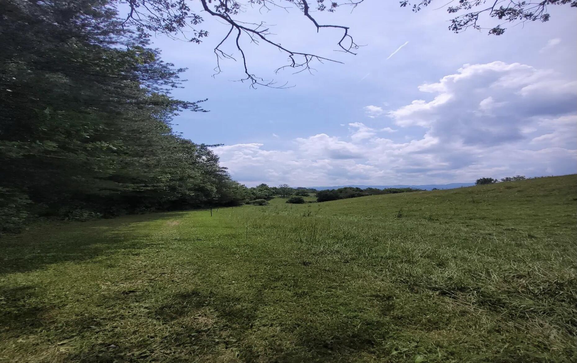 778 Bailey Bridge Road Limestone, TN 37681 - Photo 3 of 22 IMG_8675