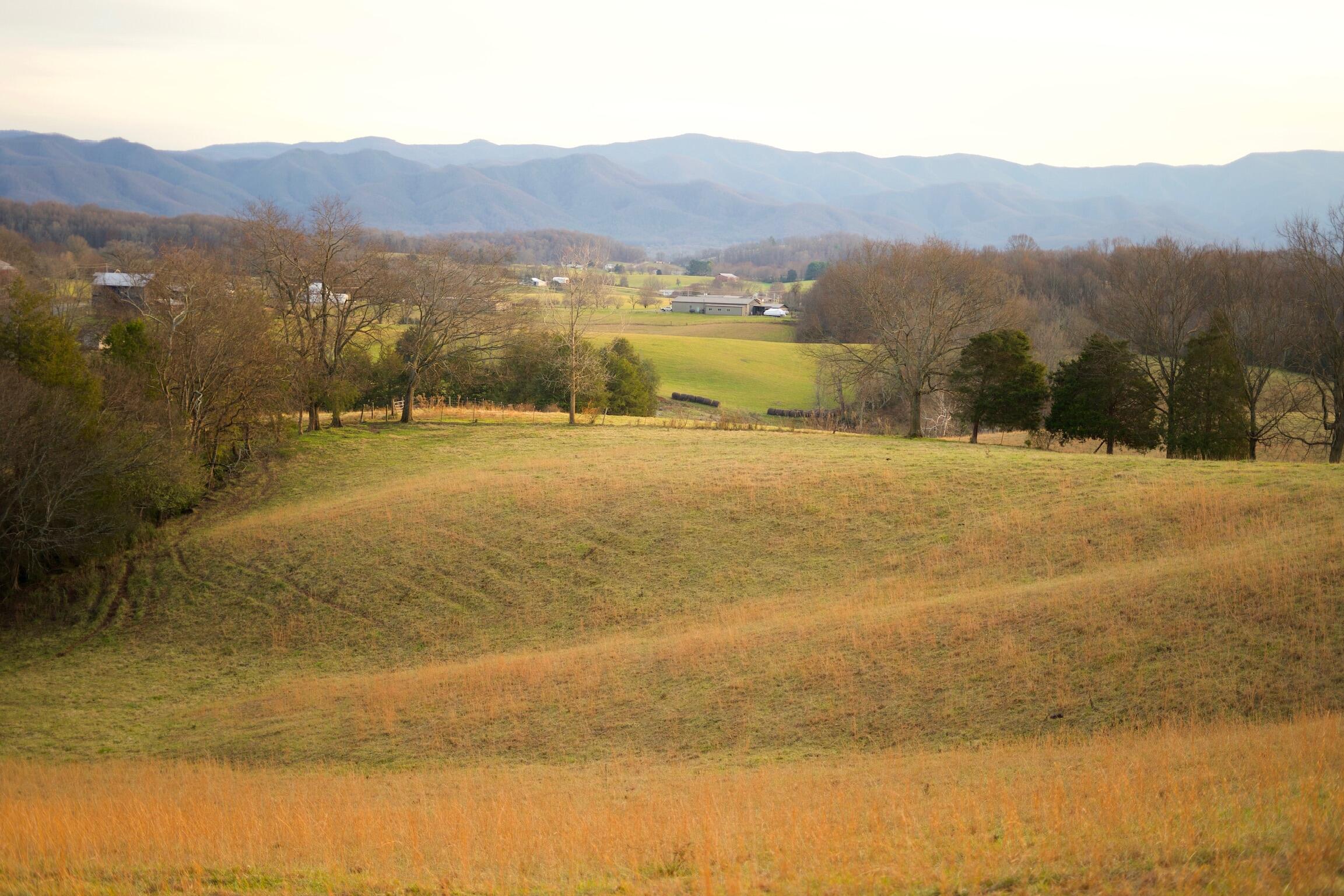 778 Bailey Bridge Road Limestone, TN 37681 - Photo 9 of 22 E30A194B-95C8-46E6-8D9C-2BDB73CBBA60