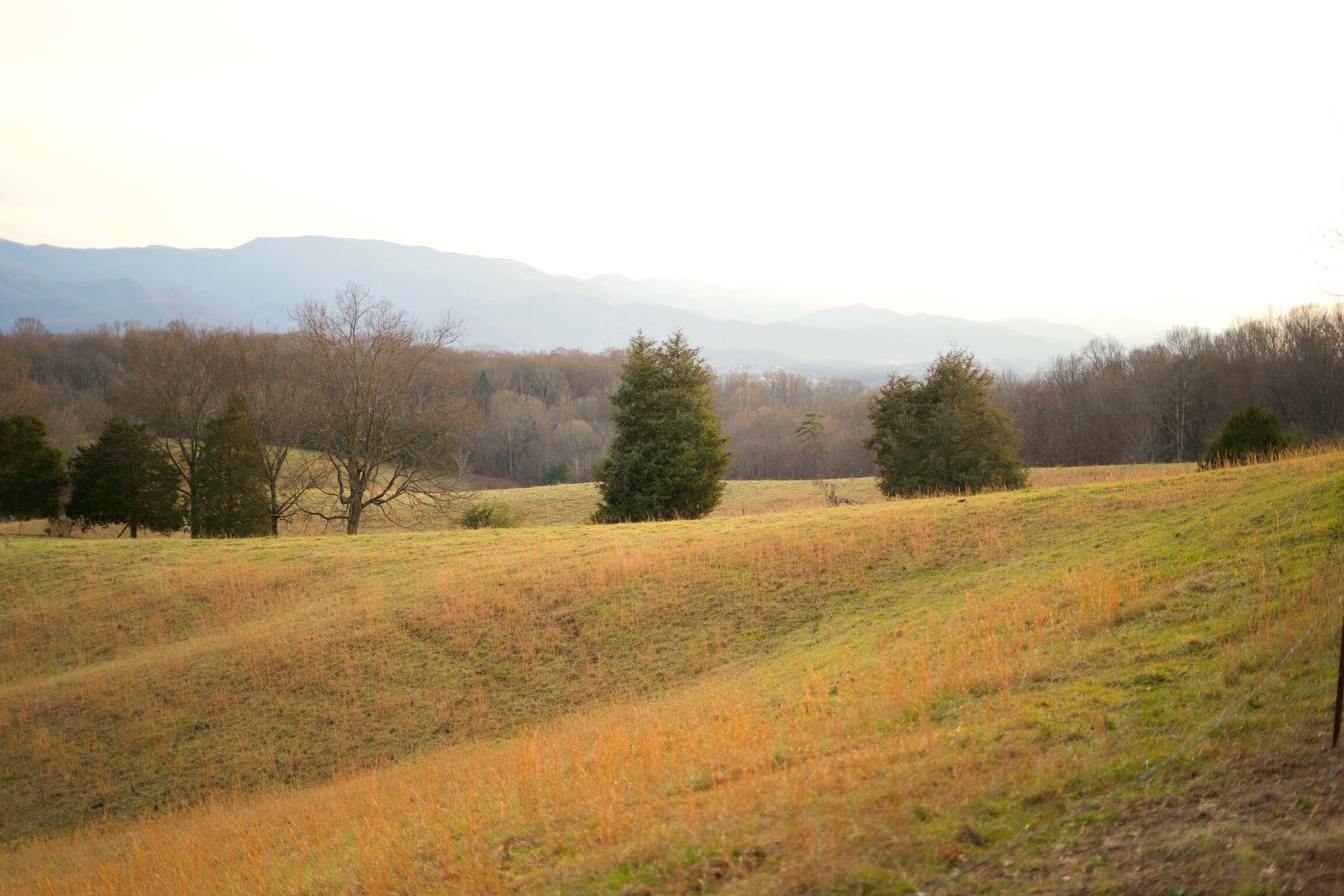 778 Bailey Bridge Road Limestone, TN 37681 - Photo 10 of 22 4A665ACF-9F20-42D5-A668-726D631537D5