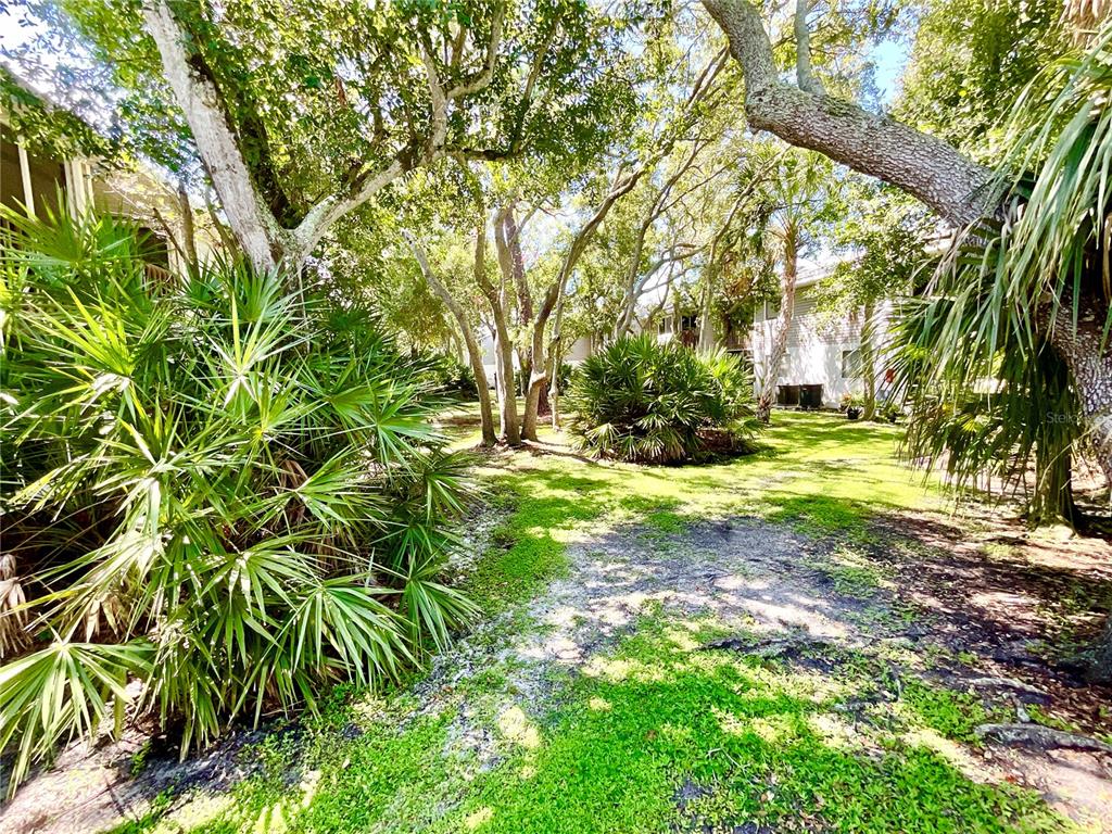 9211 Jake's Path Largo, FL 33771 - Photo 15 of 40