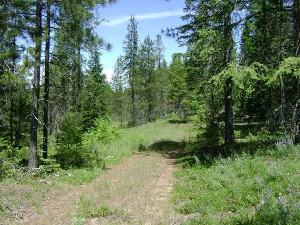 X East Bridges Road Elk, WA 99009 - Photo 1 of 2