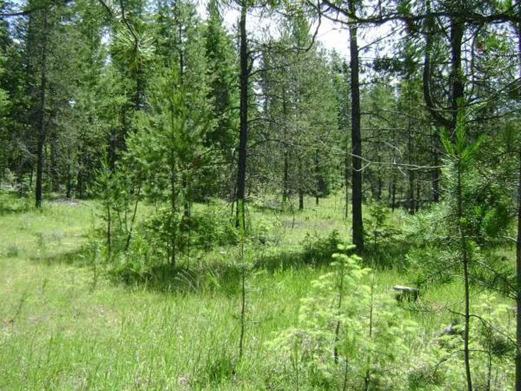 X East Bridges Road Elk, WA 99009 - Photo 2 of 2