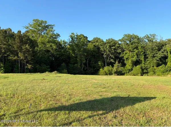 $99,000 | 6599 Wirtz Road, Flowood, MS 39232