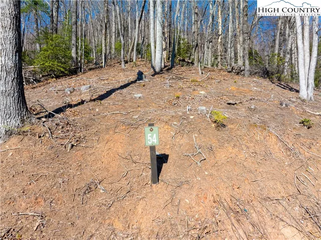 a row of trees with wooden fence