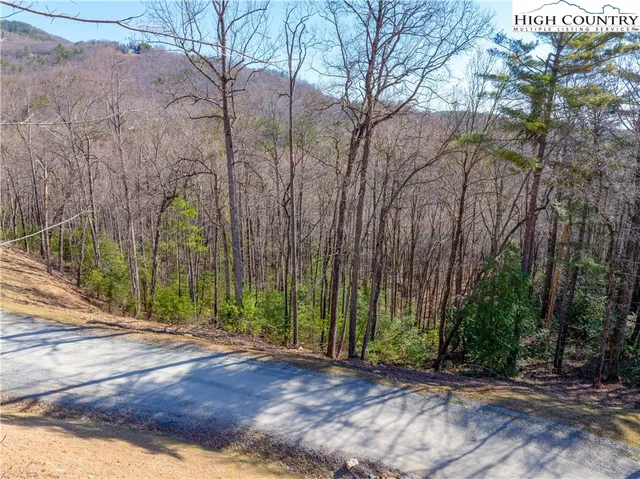 a view of backyard with green space