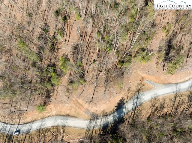 a view of a tree with a yard