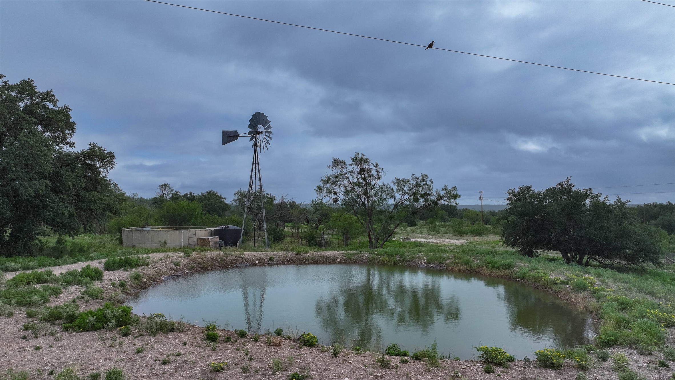 5 Dominion At Oak Ridge Junction, TX 76849 - Photo 24 of 34 Pond with surrounding foliage, a metal windmill, and a concrete water tank