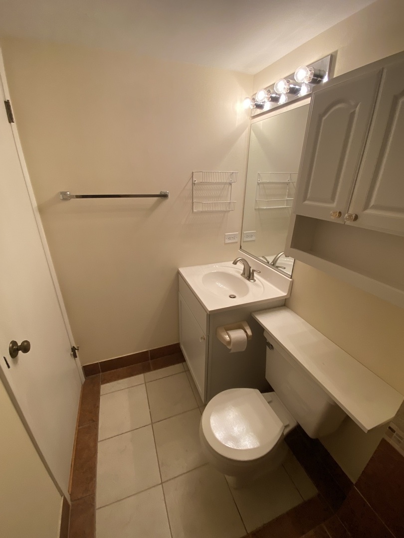 309 Memory Lane, Unit 1 Westmont, IL 60559 - Photo 13 of 23 a bathroom with a sink a toilet and shower