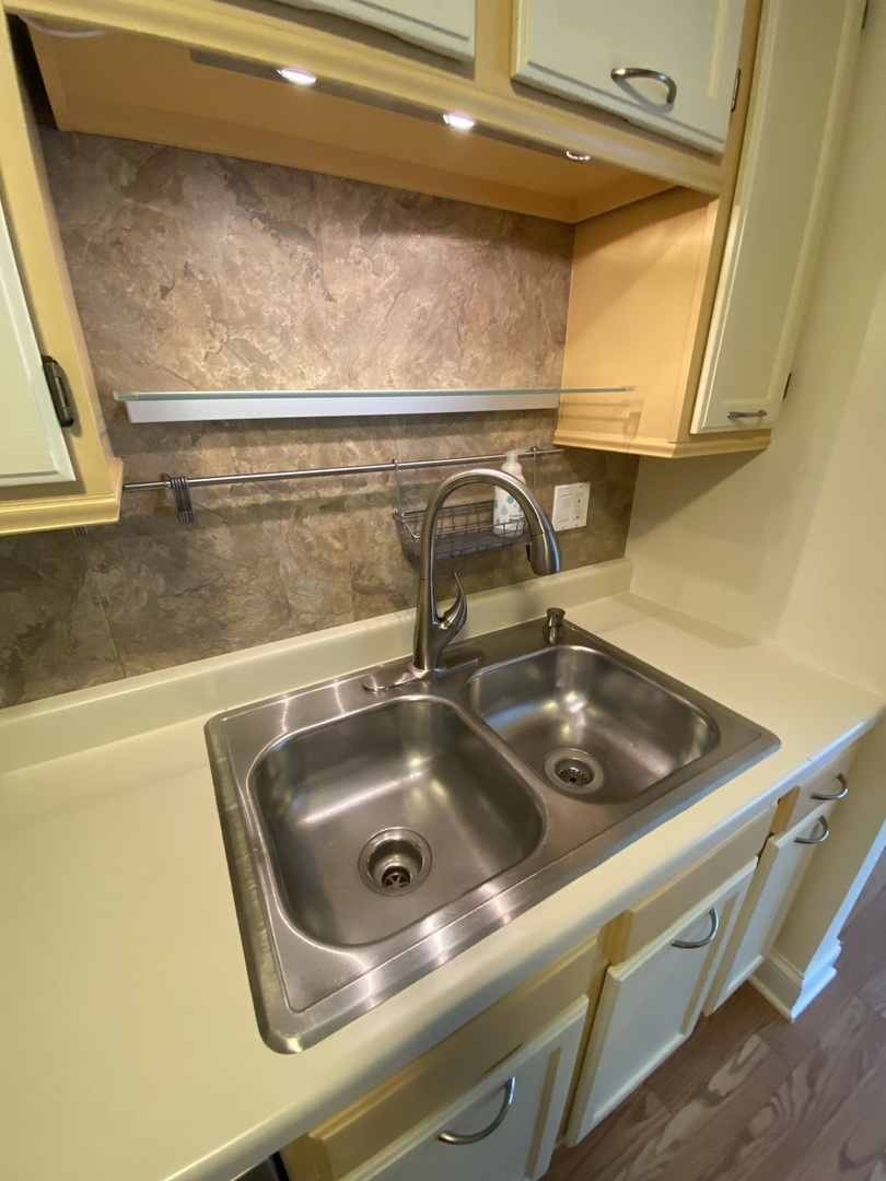 309 Memory Lane, Unit 1 Westmont, IL 60559 - Photo 4 of 23 a close view of sink and tap