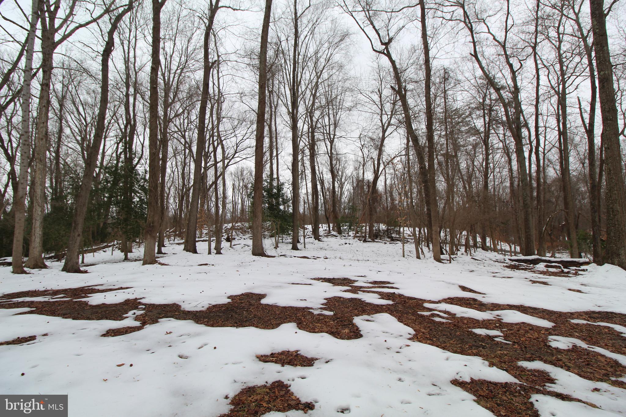 5605 Hawthorne Road La Plata, MD 20646 - Photo 29 of 38 Gallery Image 29