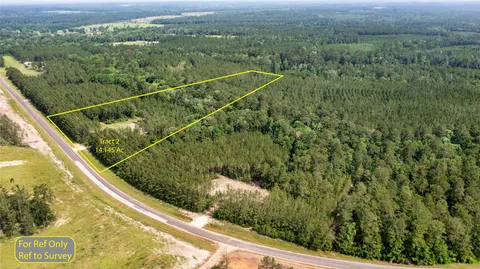 a view of a forest from a window