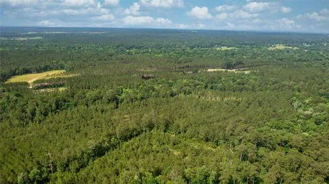 a view of a green field with lots of green space in it