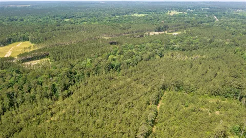 a view of a green field with lots of bushes