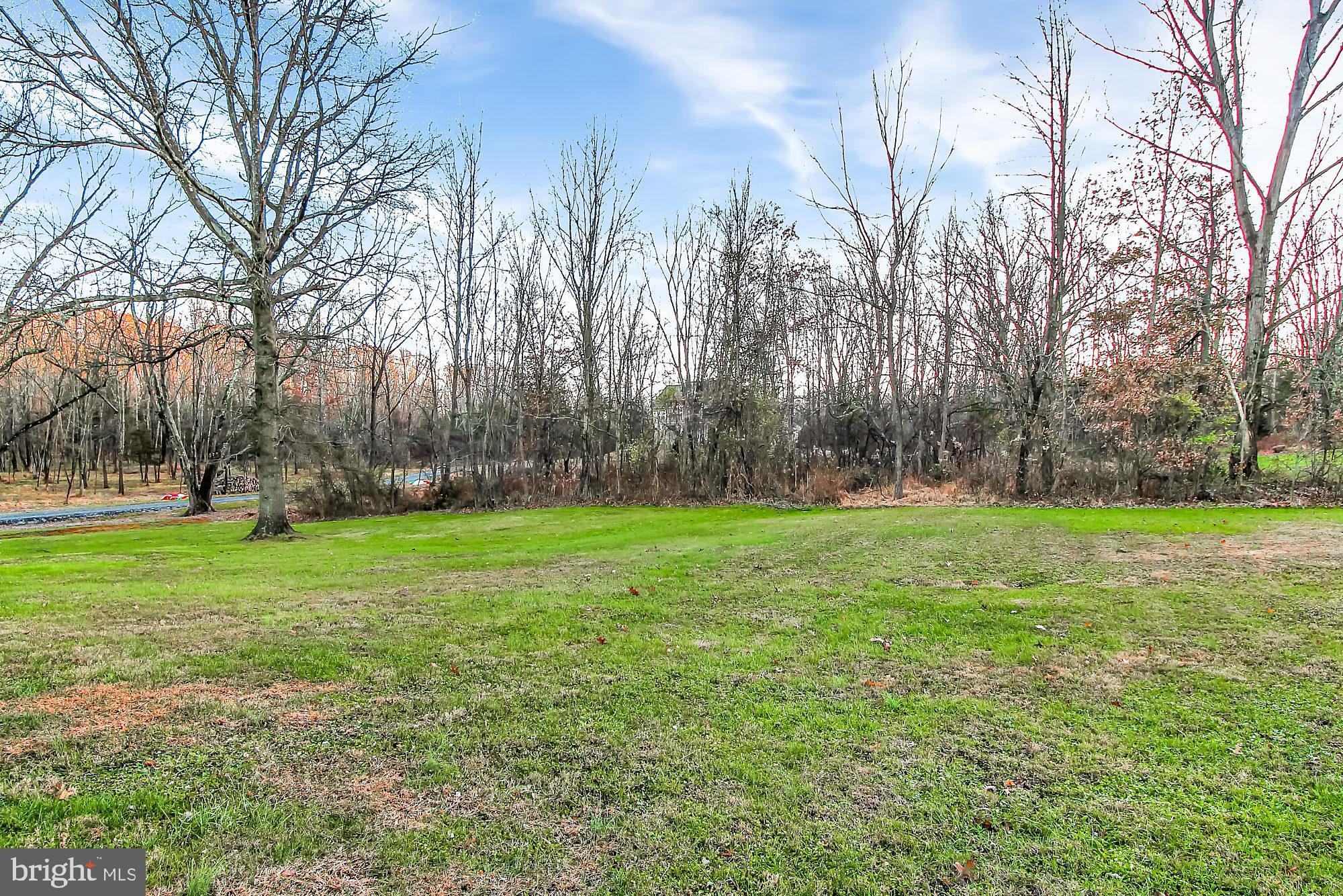 306 East Moyer Road Pottstown, PA 19464 - Photo 21 of 24 Back Yard and wooded area
