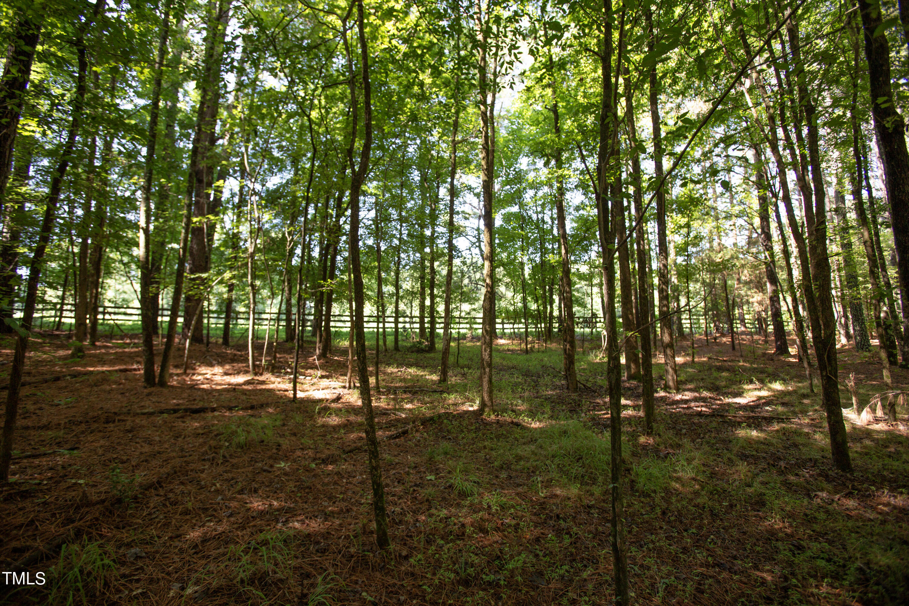 514 Highland Road Apex, NC 27523 - Photo 8 of 26 514 Highland Road 6