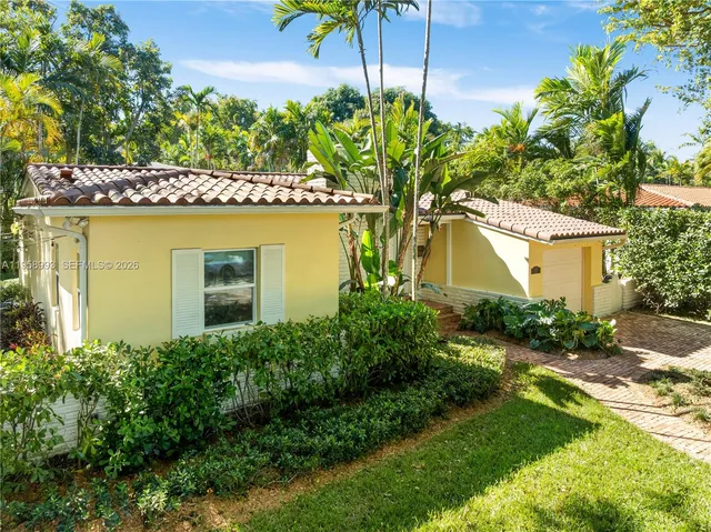 a view of a tree with a plant
