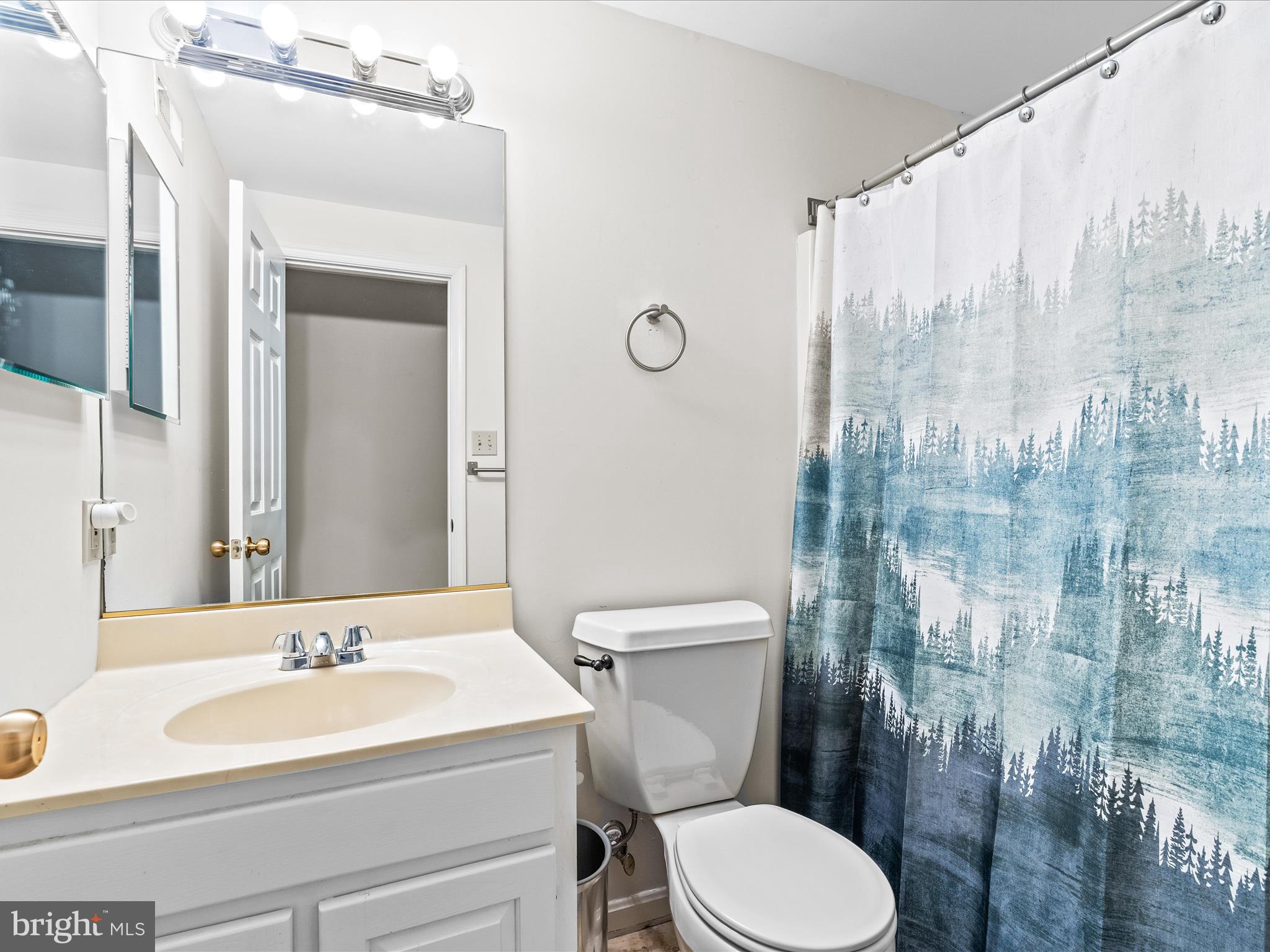 2204 Banner Hill Road Frederick, MD 21702 - Photo 43 of 61 lower level full bathroom