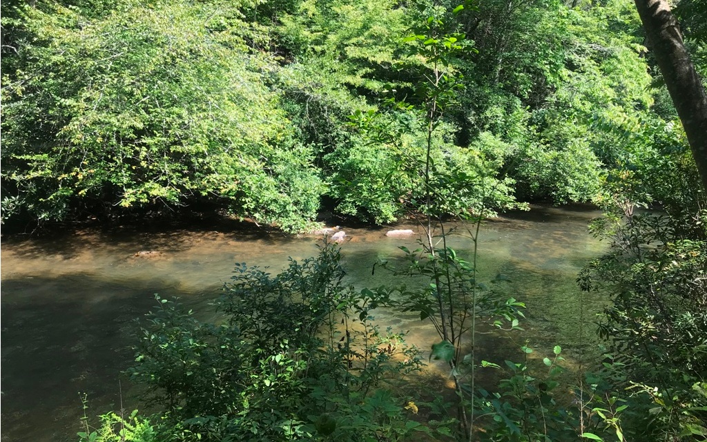 a view of a lake with a yard