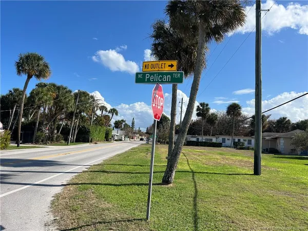 a view of a park with palm trees