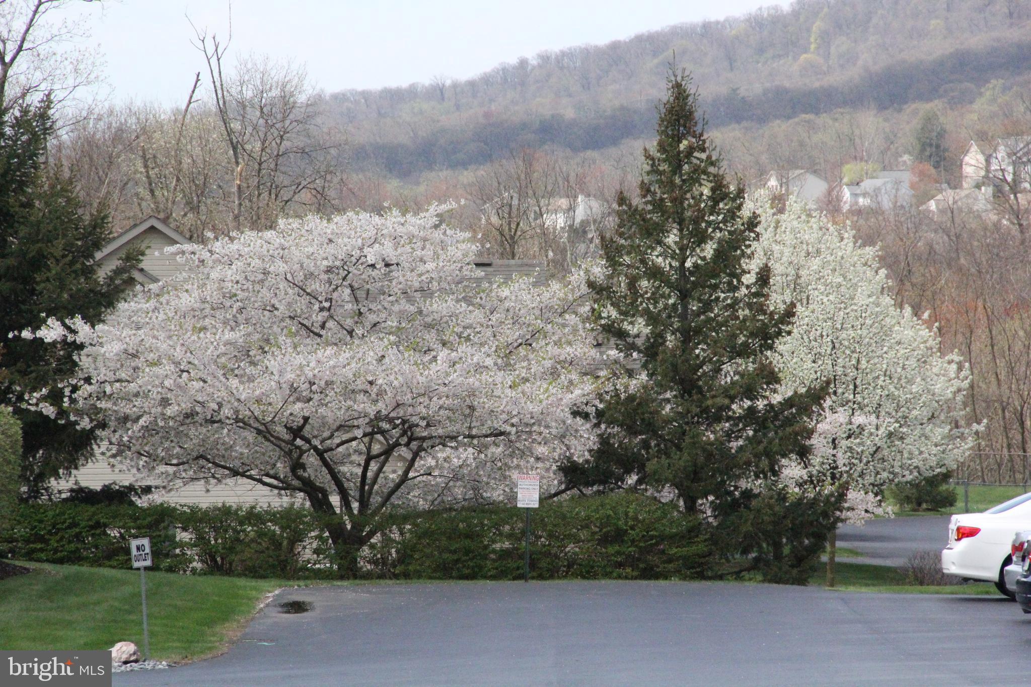 147 Hunters Ridge Drive Harrisburg, PA 17110 - Photo 20 of 23 Gallery Image 20