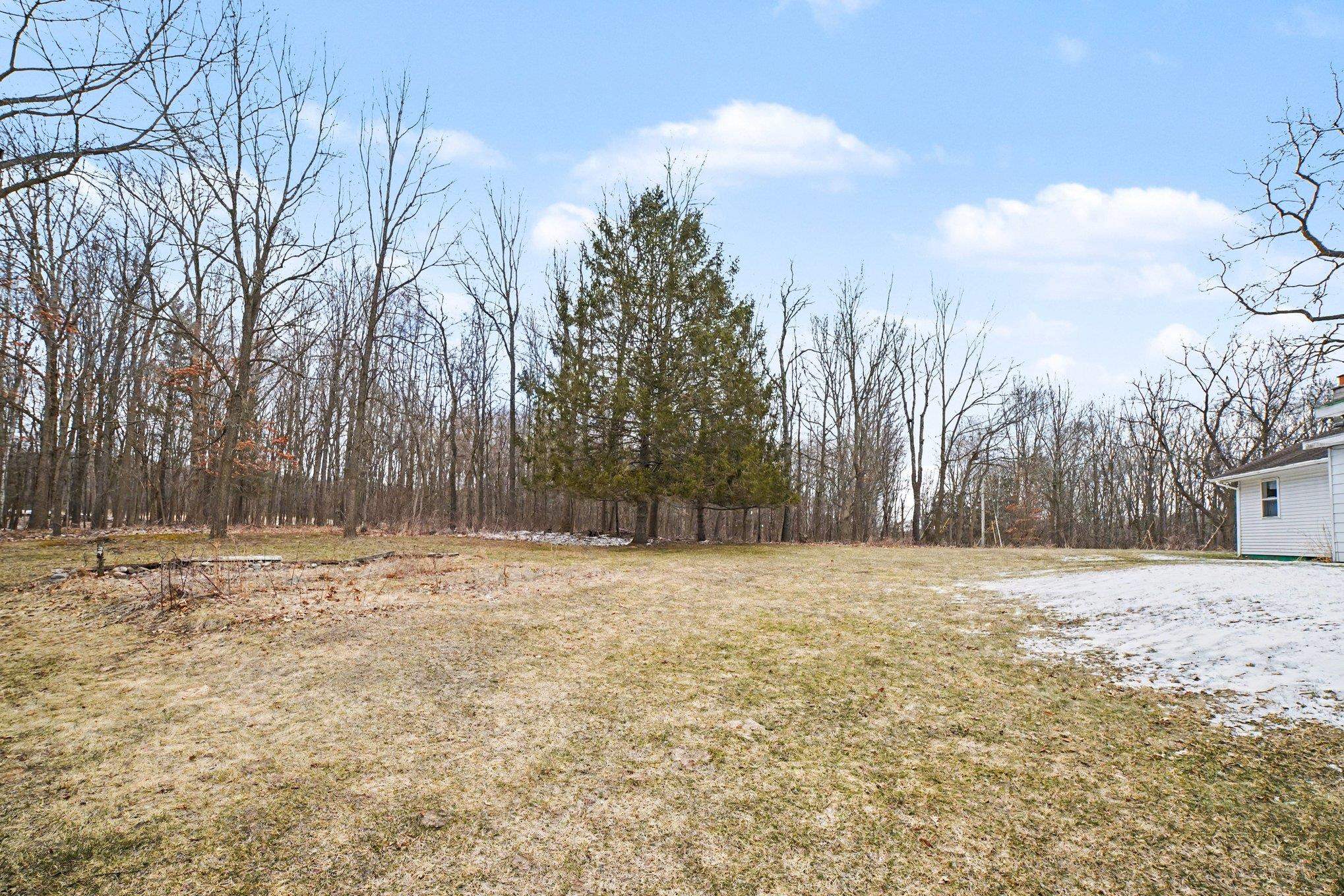 7495 McBride's Road Edmore, MI 48829 - Photo 30 of 38