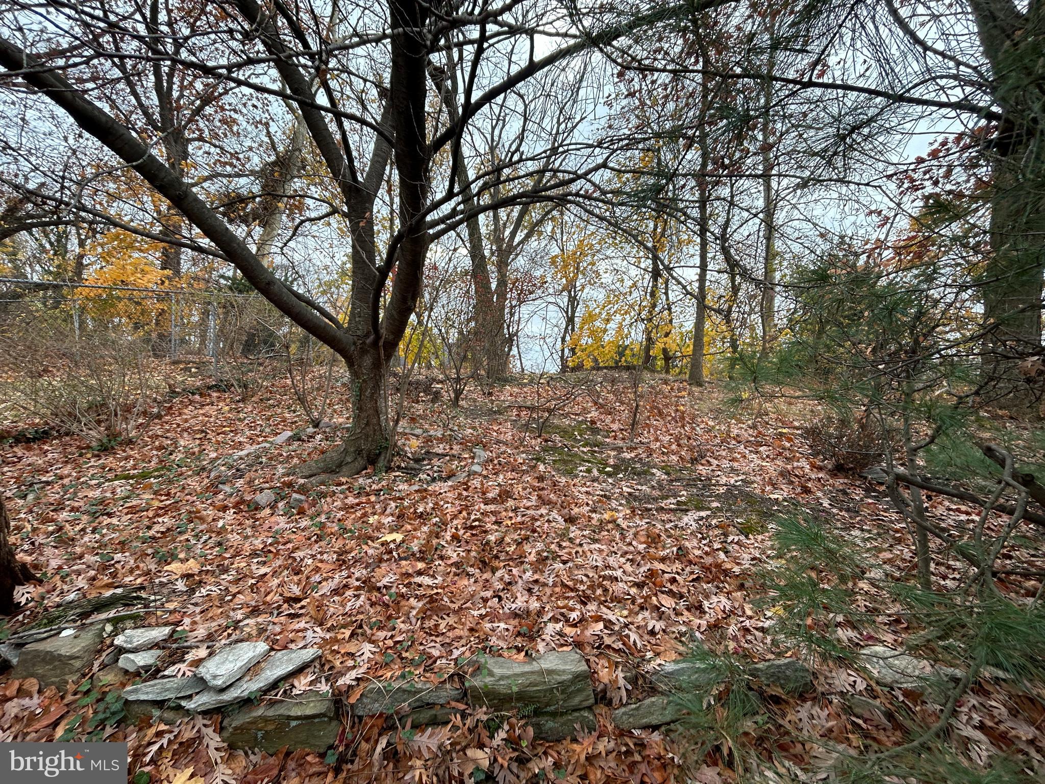 555 Edge Hill Road Glenside, PA 19038 - Photo 21 of 27 Gallery Image 21