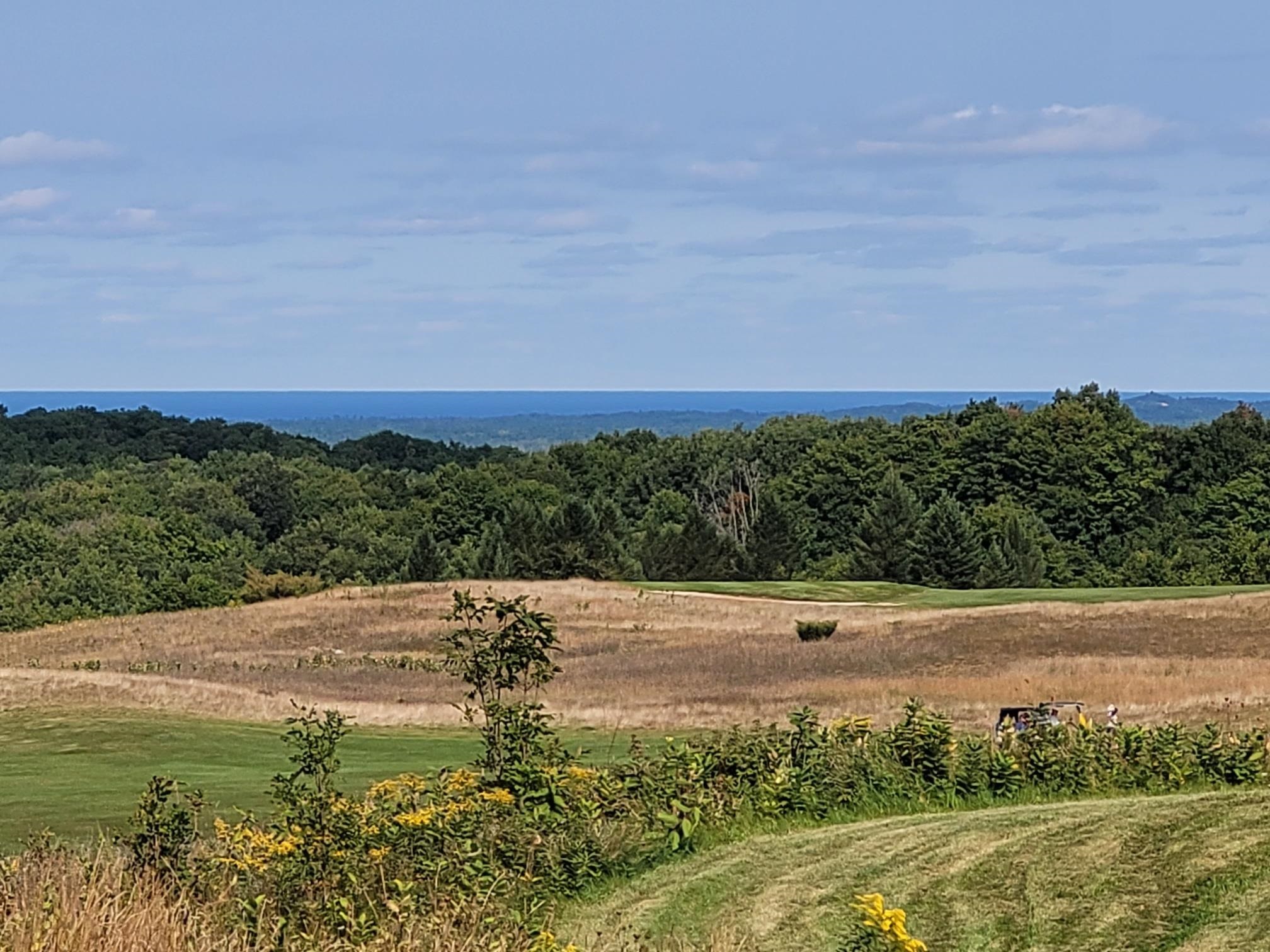 16 Heather Ridge Trail Beulah, MI 49617 - Photo 4 of 12