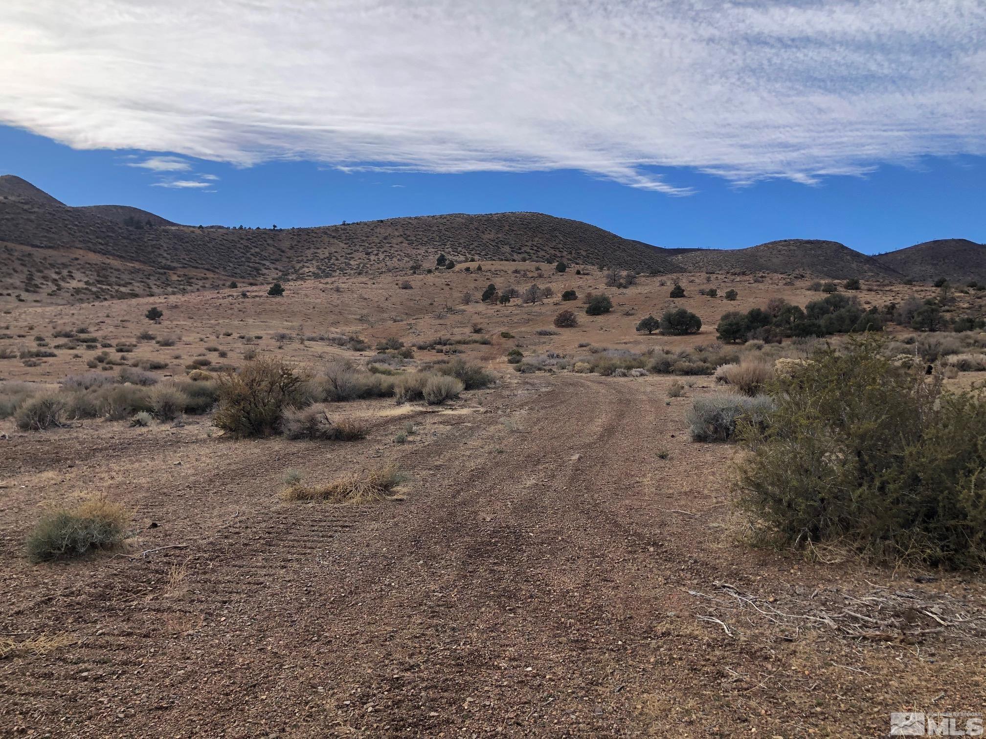 1151 Slate Road Wellington, NV 89444 - Photo 6 of 11 Photo 6